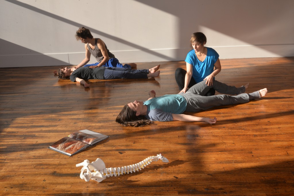 Cells, selves and collective agencies, Dansverkstaedid, Reykjavik, June 22