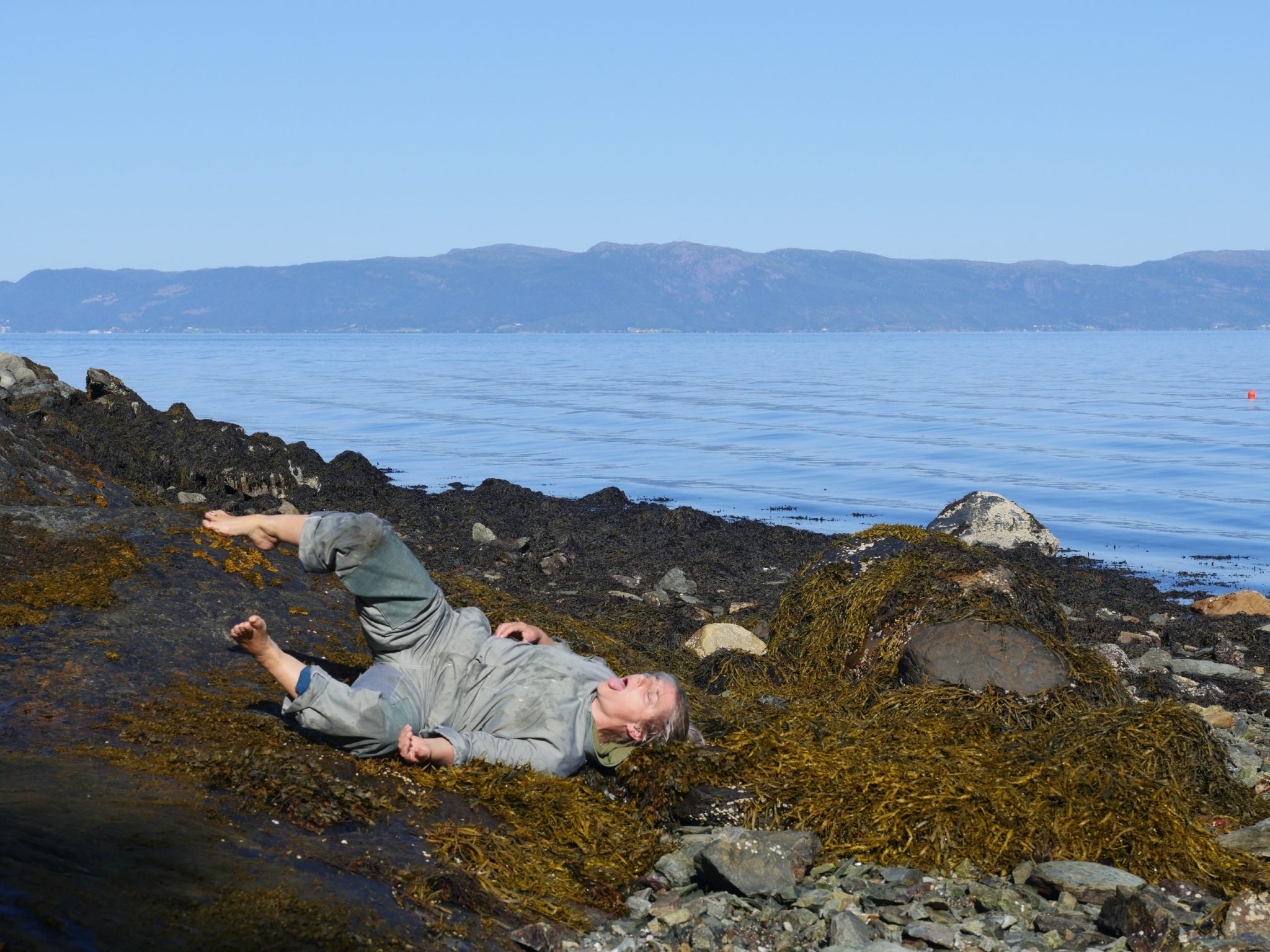 The feel of rimu needles in my hair; the taste of gorse flowers; the pull of gravity on a slope