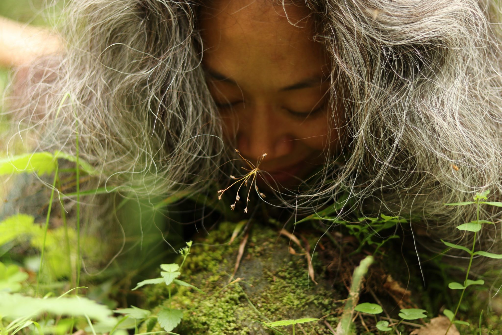 Ecosomatic Practices for living and dying with a damaged earth, January 13-17, virtual workshop