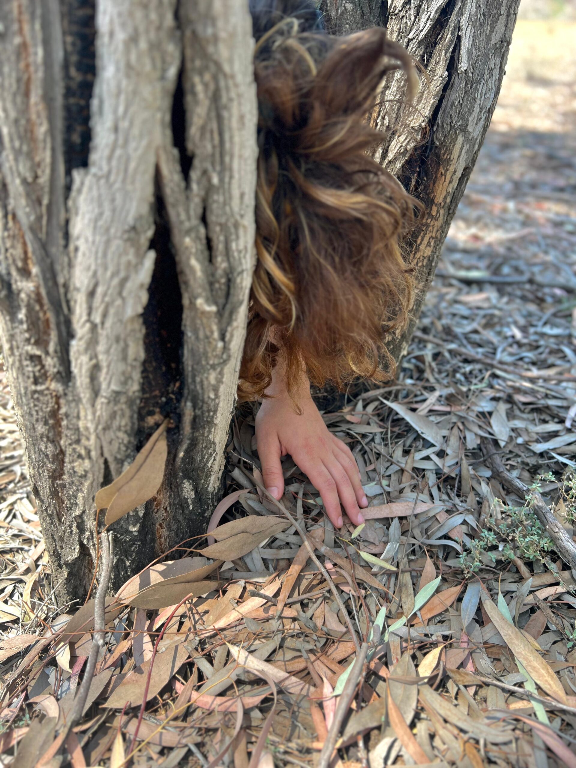 Invitation to introspection from “Resisting Extinction” at Athalassa Park