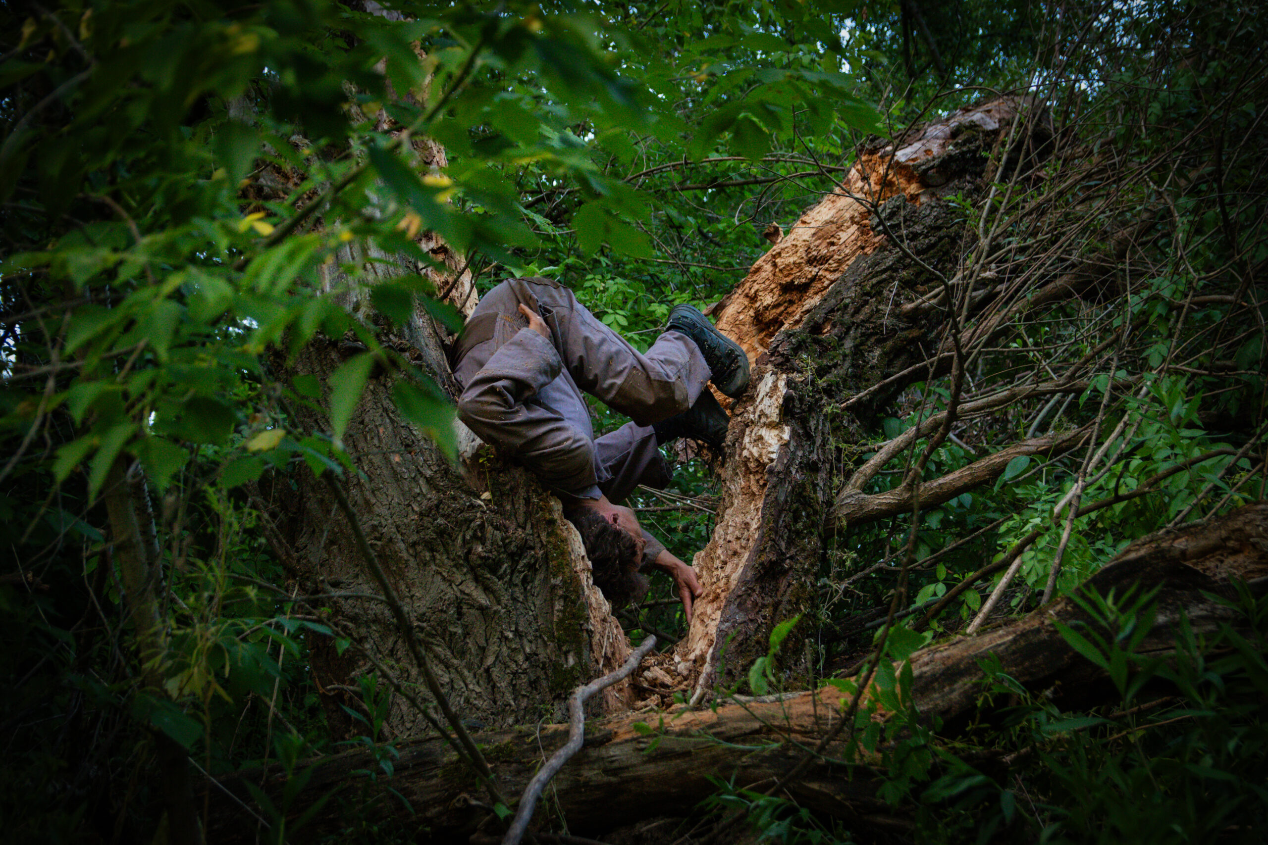 BodyCartography’s                                                 Resisting Extinction