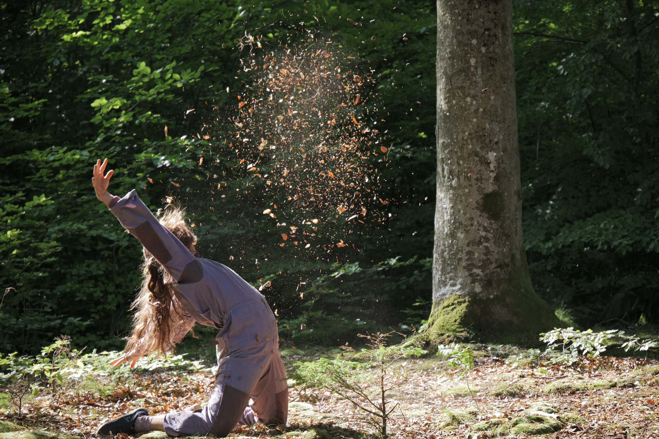 Smell the moss, lie on the earth, and feel that you’re part of it all.